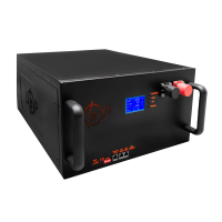 Акумулятор LP LiFePO4 51,2V - 230 Ah (11776Wh) (Smart BMS 200A/100А) з LCD метал RM