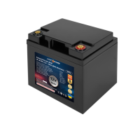 Акумулятор LP LiFePO4 12V (12,8V) - 50 Ah (640Wh) (BMS 80A/40A) пластик для ДБЖ