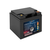 Акумулятор LP LiFePO4 12V (12,8V) - 50 Ah (640Wh) (BMS 80A/40A) пластик для ДБЖ
